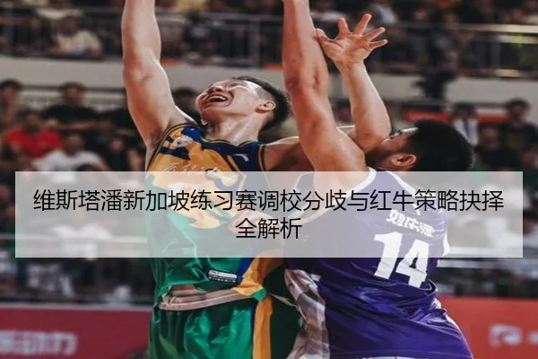 维斯塔潘新加坡练习赛调校分歧与红牛策略抉择全解析